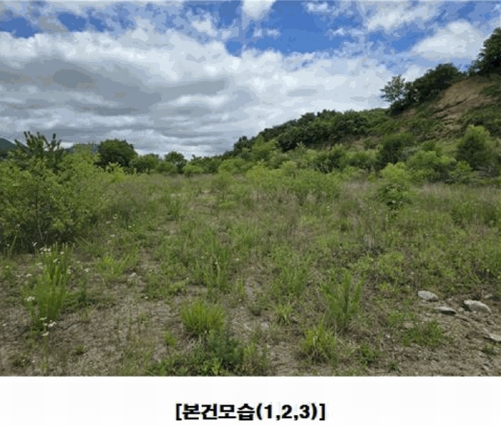 2025타경502441 충청남도 금산군 군북면 동편리 산26-1 임야 경매 이미지