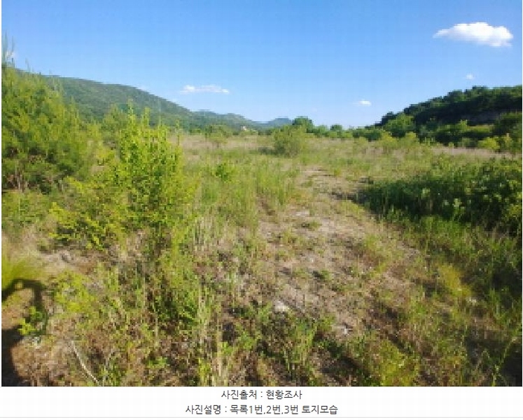 2025타경502441 충청남도 금산군 군북면 동편리 산26-1 임야 경매 이미지