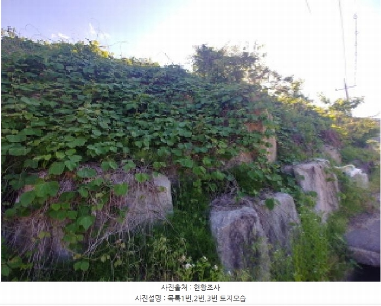 2025타경502441 충청남도 금산군 군북면 동편리 산26-1 임야 경매 이미지