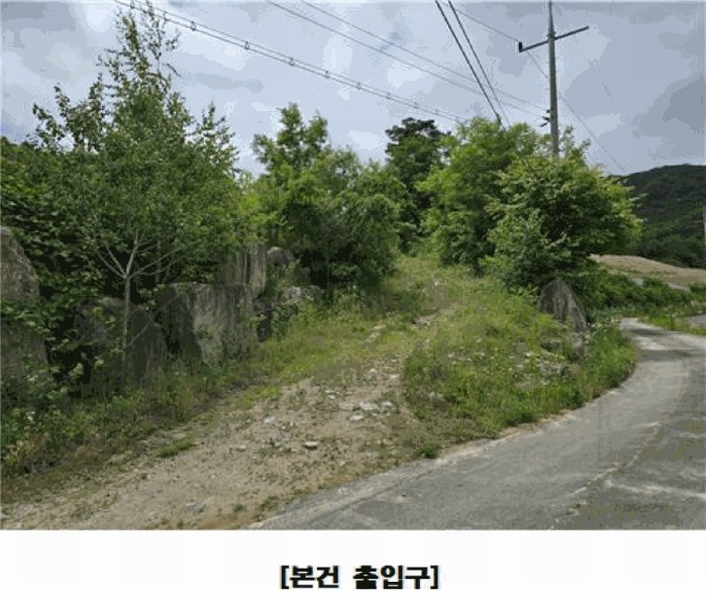 2025타경502441 충청남도 금산군 군북면 동편리 산26-1 임야 경매 이미지
