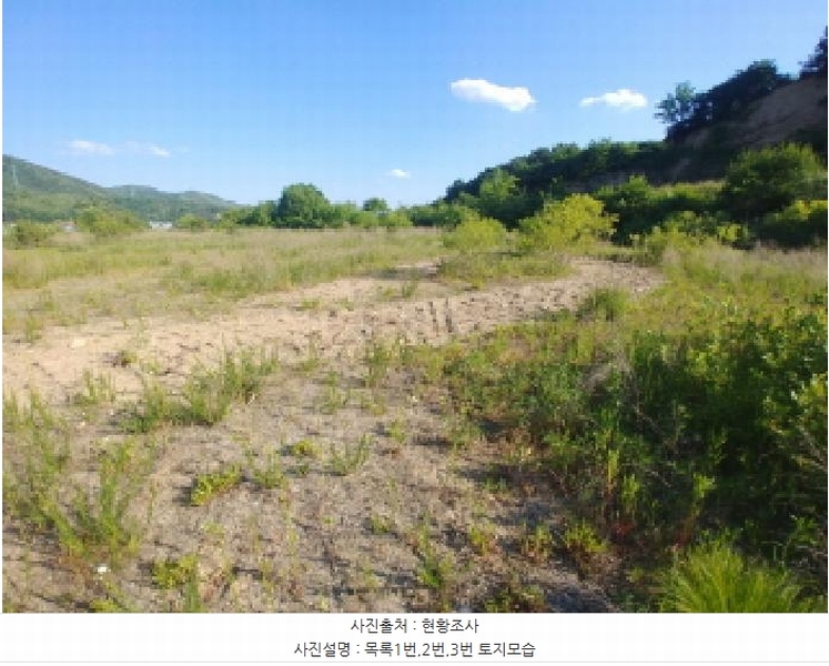 2025타경502441 충청남도 금산군 군북면 동편리 산26-1 임야 경매 이미지