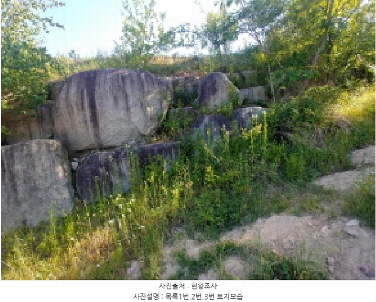 2025타경502441 충청남도 금산군 군북면 동편리 산26-1 임야 경매 이미지