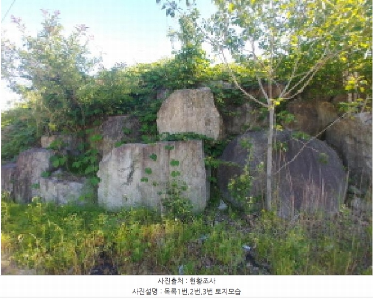 2025타경502441 충청남도 금산군 군북면 동편리 산26-1 임야 경매 이미지