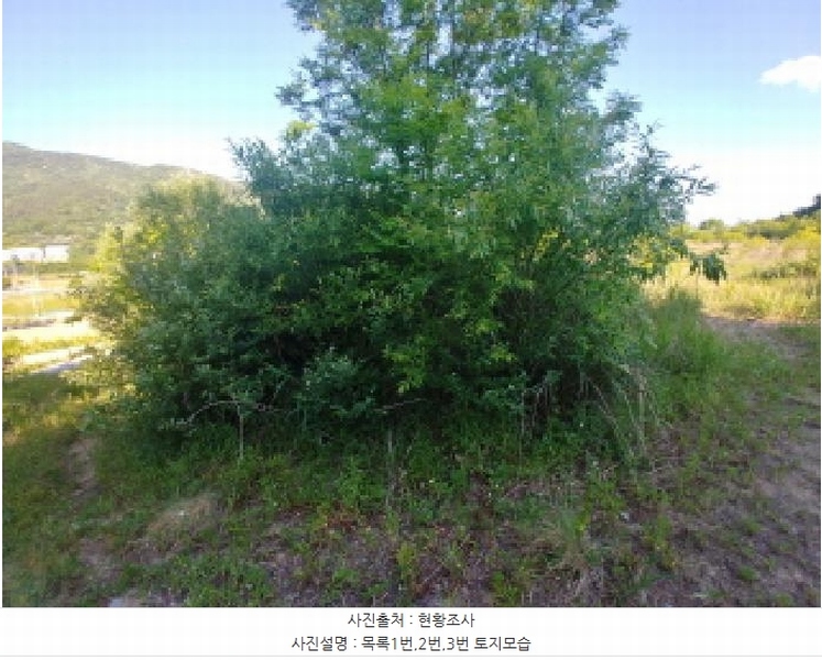 2025타경502441 충청남도 금산군 군북면 동편리 산26-1 임야 경매 이미지