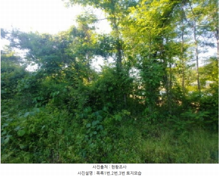 2025타경502441 충청남도 금산군 군북면 동편리 산26-1 임야 경매 이미지