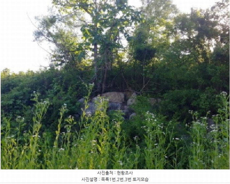 2025타경502441 충청남도 금산군 군북면 동편리 산26-1 임야 경매 이미지