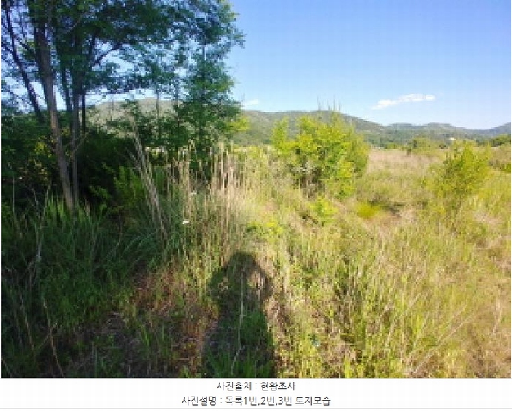 2025타경502441 충청남도 금산군 군북면 동편리 산26-1 임야 경매 이미지