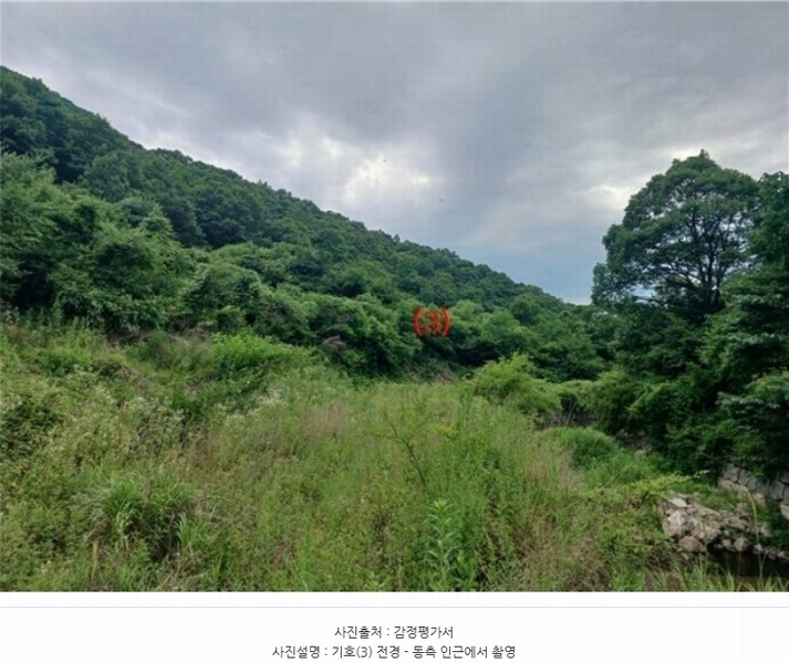 2024타경5998 경상북도 칠곡군 석적읍 성곡리 20 농지 경매 이미지