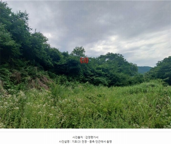 2024타경5998 경상북도 칠곡군 석적읍 성곡리 20 농지 경매 이미지