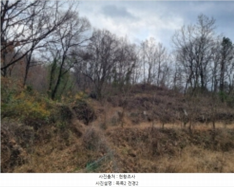 2024타경11368 충청남도 금산군 군북면 조정리 144 농지 경매 이미지