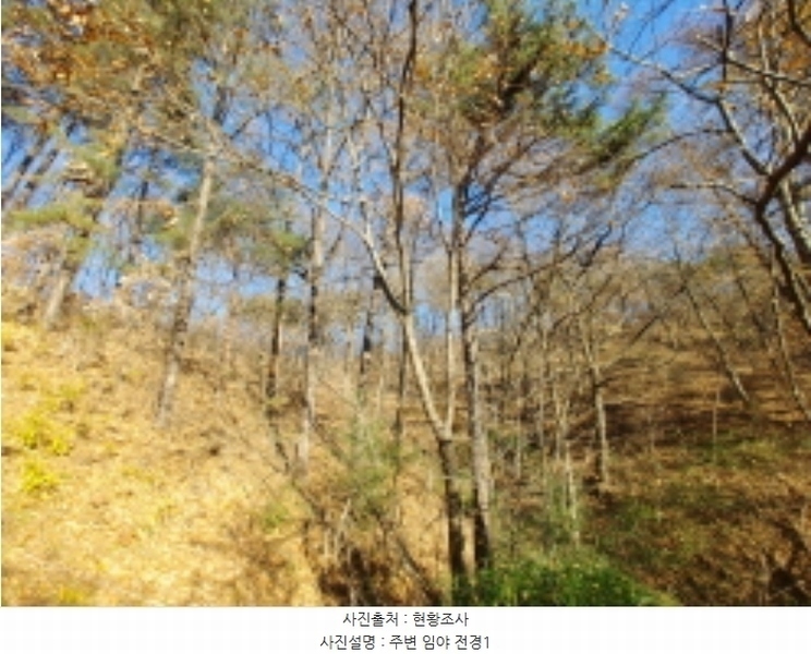 2024타경11368 충청남도 금산군 군북면 조정리 144 농지 경매 이미지