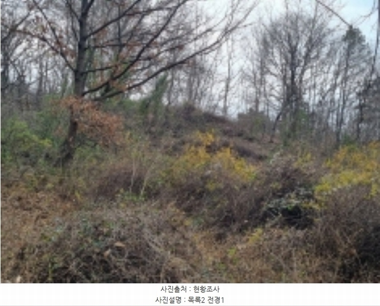 2024타경11368 충청남도 금산군 군북면 조정리 144 농지 경매 이미지