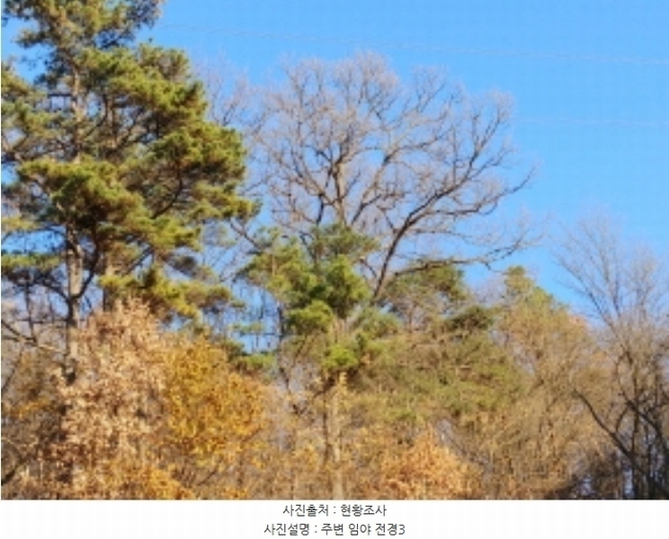 2024타경11368 충청남도 금산군 군북면 조정리 144 농지 경매 이미지