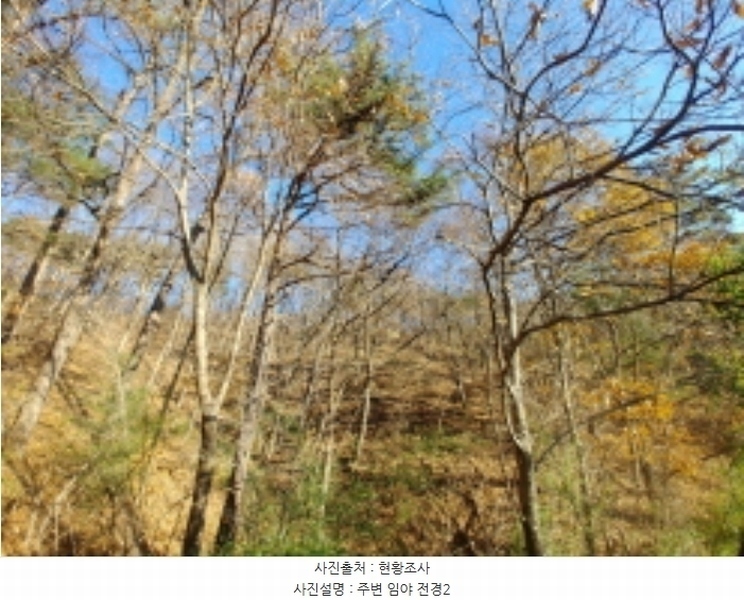 2024타경11368 충청남도 금산군 군북면 조정리 144 농지 경매 이미지