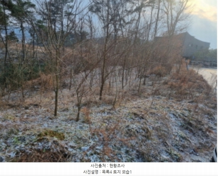 2024타경125144 세종특별자치시 장군면 대교리 227-28 대지 경매 이미지