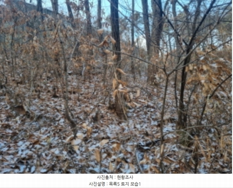 2024타경125144 세종특별자치시 장군면 대교리 227-28 대지 경매 이미지