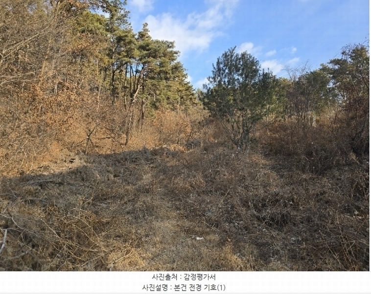 2024타경125144 세종특별자치시 장군면 대교리 227-28 대지 경매 이미지