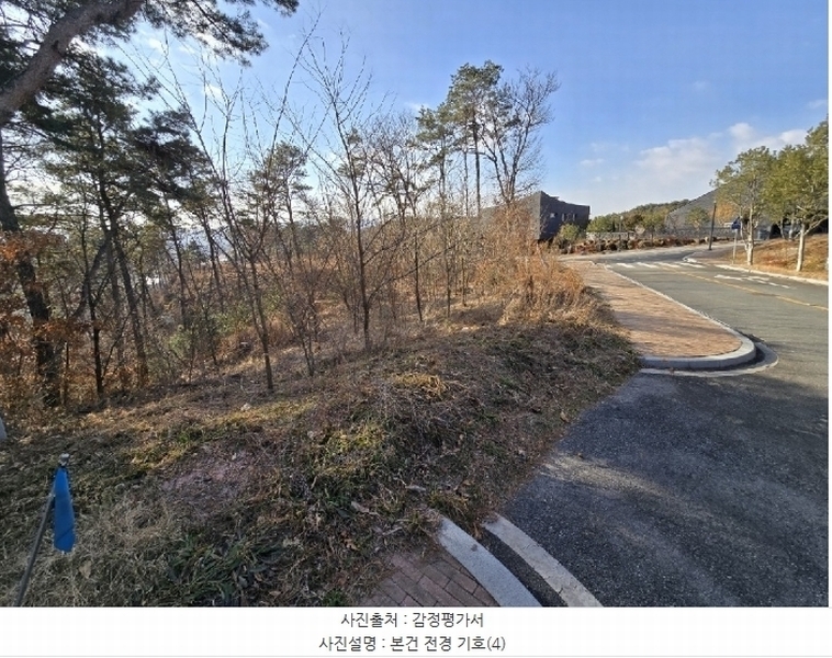 2024타경125144 세종특별자치시 장군면 대교리 227-28 대지 경매 이미지