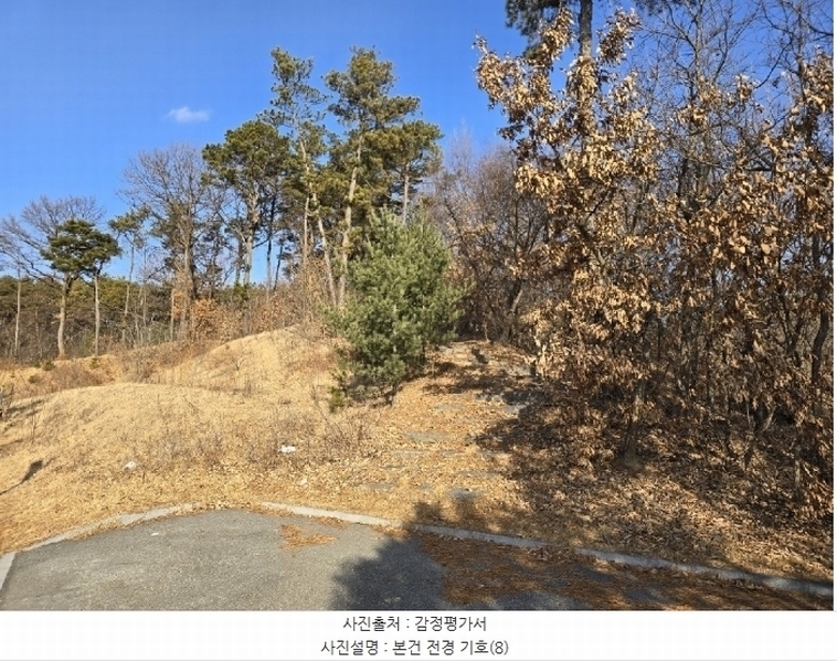 2024타경125144 세종특별자치시 장군면 대교리 227-28 대지 경매 이미지