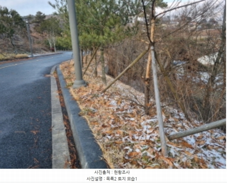 2024타경125144 세종특별자치시 장군면 대교리 227-28 대지 경매 이미지