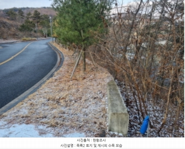 2024타경125144 세종특별자치시 장군면 대교리 227-28 대지 경매 이미지