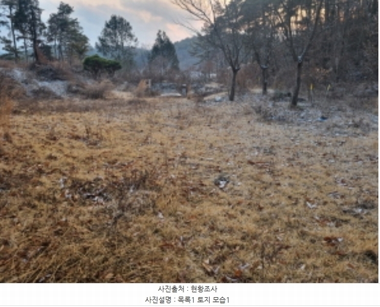 2024타경125144 세종특별자치시 장군면 대교리 227-28 대지 경매 이미지