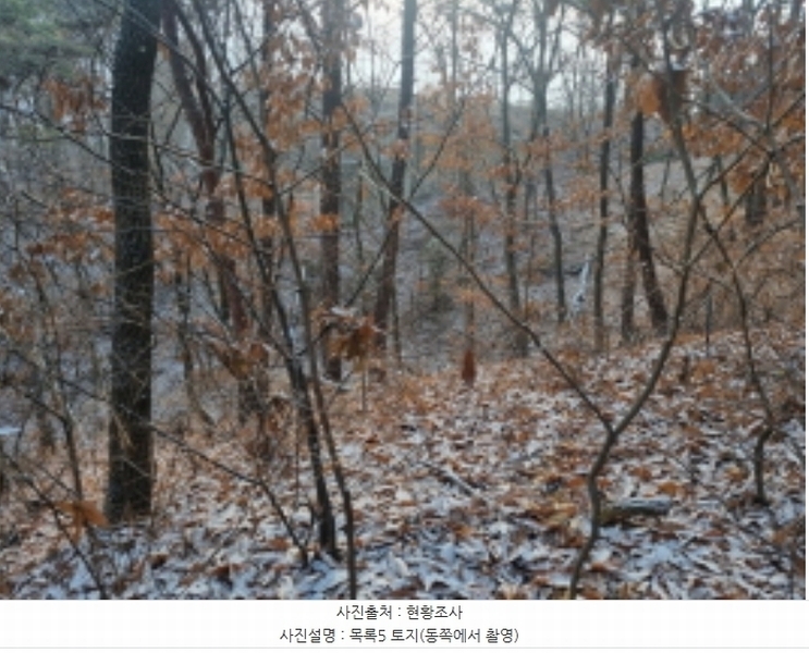 2024타경125144 세종특별자치시 장군면 대교리 227-28 대지 경매 이미지