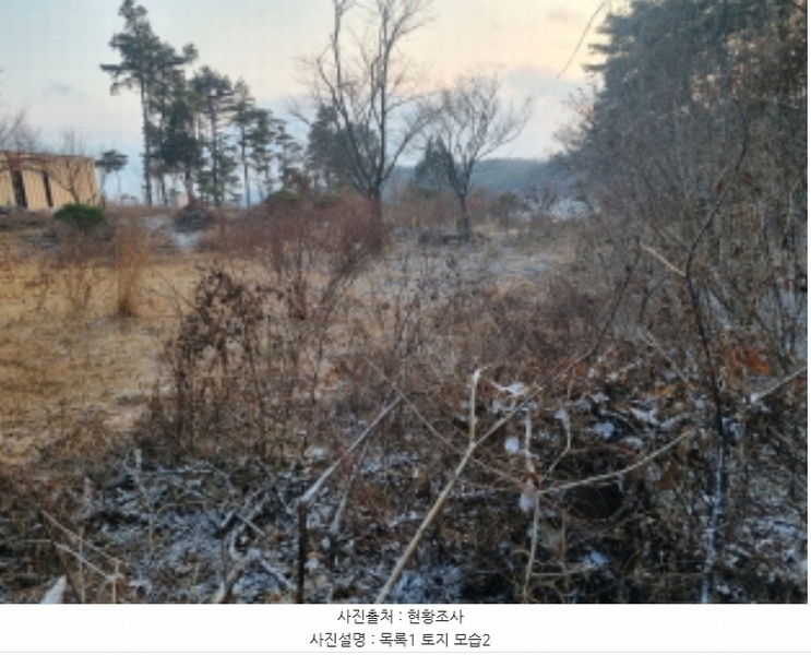 2024타경125144 세종특별자치시 장군면 대교리 227-28 대지 경매 이미지