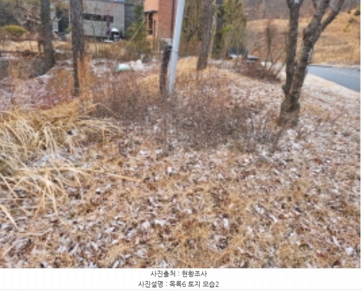 2024타경125144 세종특별자치시 장군면 대교리 227-28 대지 경매 이미지