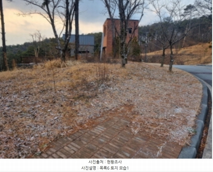 2024타경125144 세종특별자치시 장군면 대교리 227-28 대지 경매 이미지