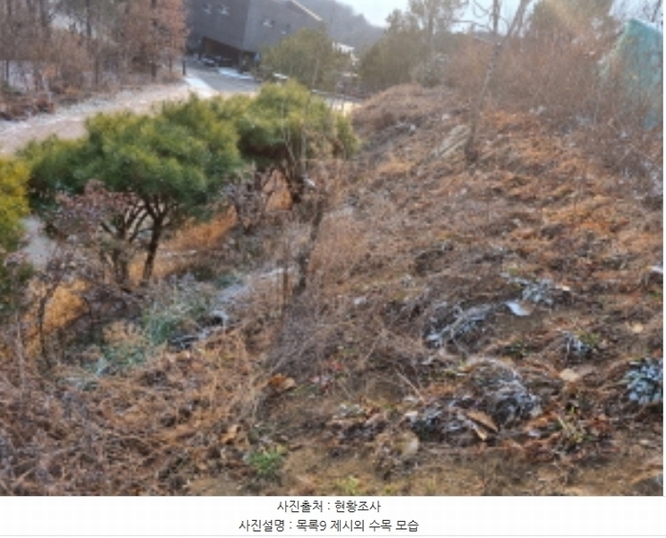 2024타경125144 세종특별자치시 장군면 대교리 227-28 대지 경매 이미지