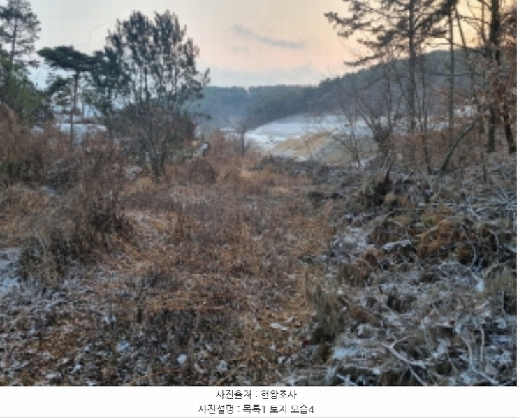 2024타경125144 세종특별자치시 장군면 대교리 227-28 대지 경매 이미지