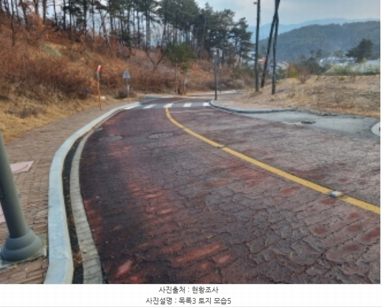 2024타경125144 세종특별자치시 장군면 대교리 227-28 대지 경매 이미지