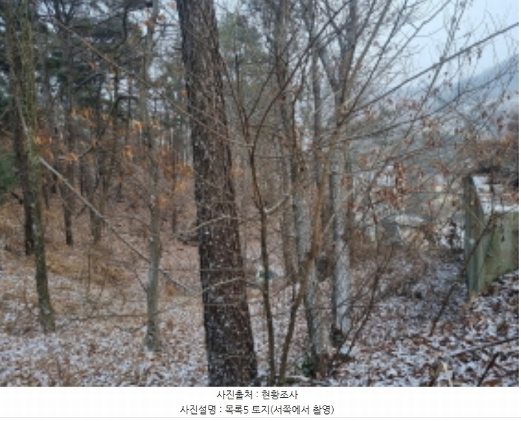 2024타경125144 세종특별자치시 장군면 대교리 227-28 대지 경매 이미지
