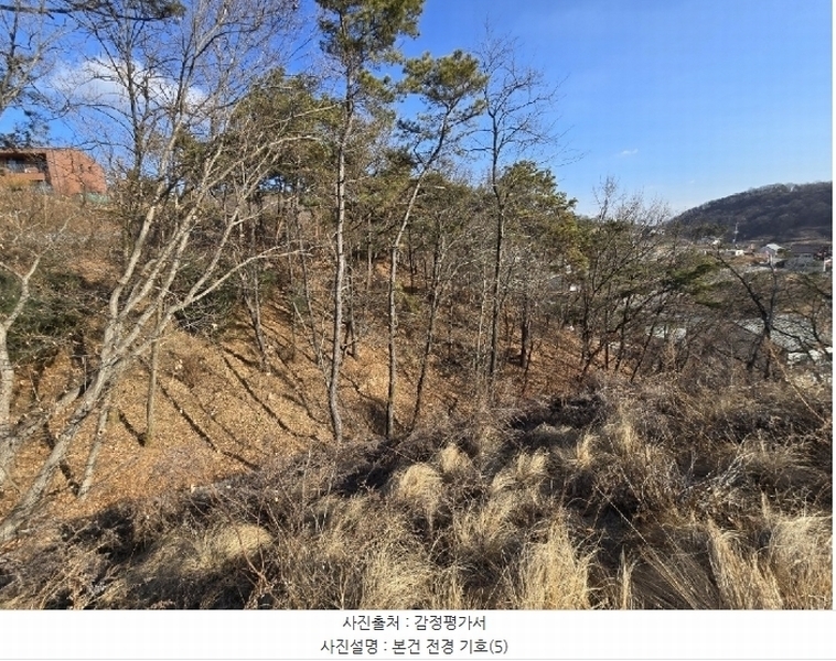 2024타경125144 세종특별자치시 장군면 대교리 227-28 대지 경매 이미지