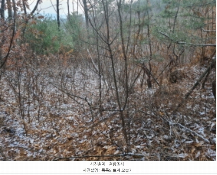 2024타경125144 세종특별자치시 장군면 대교리 227-28 대지 경매 이미지