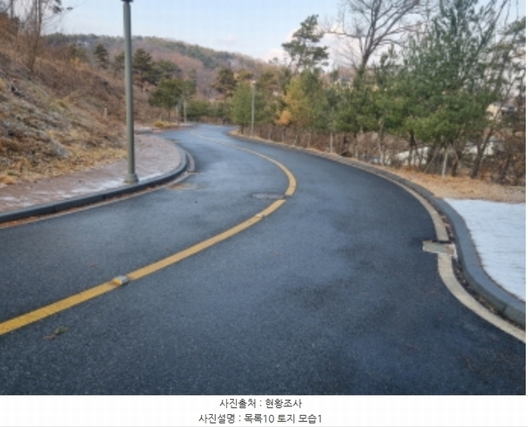2024타경125144 세종특별자치시 장군면 대교리 227-28 대지 경매 이미지