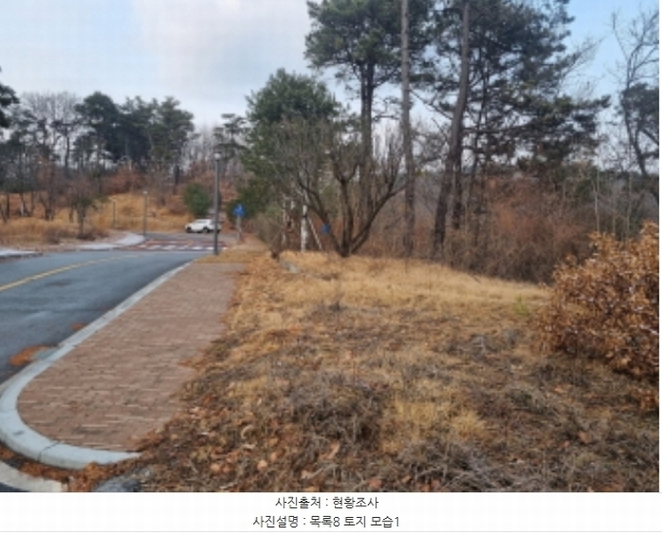 2024타경125144 세종특별자치시 장군면 대교리 227-28 대지 경매 이미지