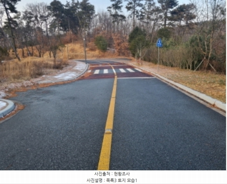 2024타경125144 세종특별자치시 장군면 대교리 227-28 대지 경매 이미지