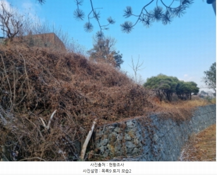 2024타경125144 세종특별자치시 장군면 대교리 227-28 대지 경매 이미지