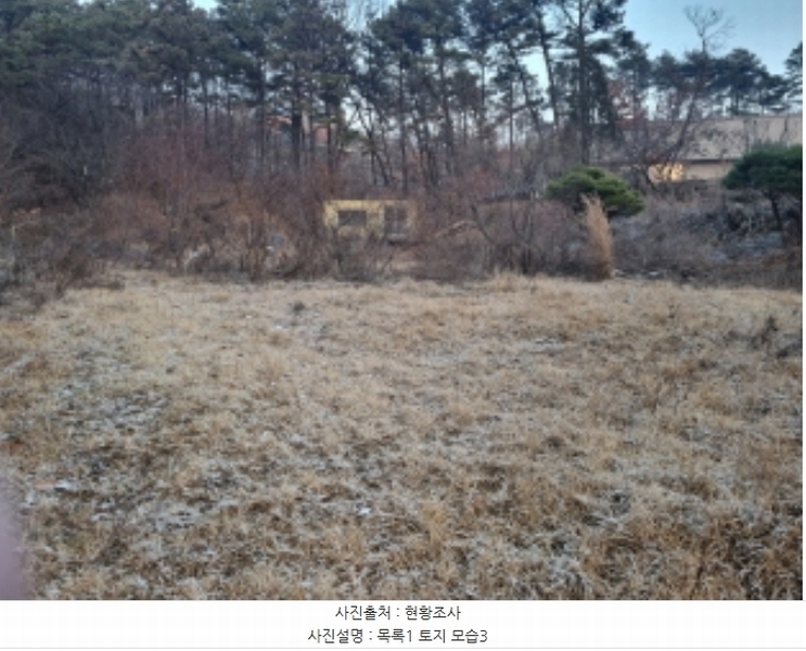 2024타경125144 세종특별자치시 장군면 대교리 227-28 대지 경매 이미지