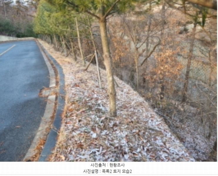 2024타경125144 세종특별자치시 장군면 대교리 227-28 대지 경매 이미지