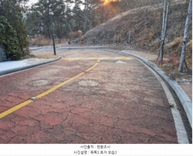 2024타경125144 세종특별자치시 장군면 대교리 227-28 대지 경매 이미지