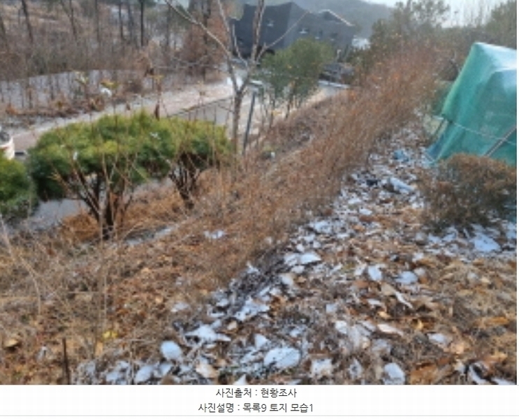 2024타경125144 세종특별자치시 장군면 대교리 227-28 대지 경매 이미지