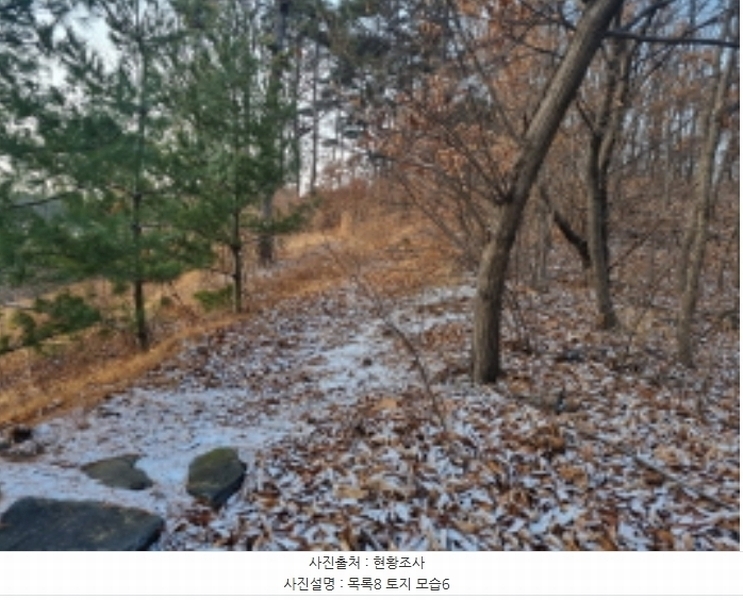 2024타경125144 세종특별자치시 장군면 대교리 227-28 대지 경매 이미지
