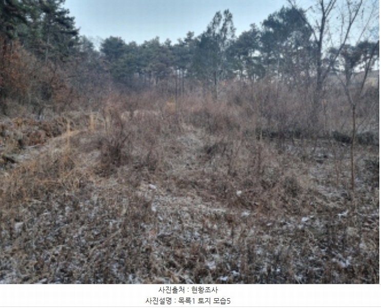 2024타경125144 세종특별자치시 장군면 대교리 227-28 대지 경매 이미지