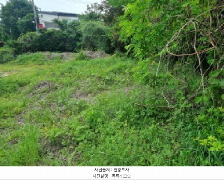 2025타경3506 세종특별자치시 장군면 금암리 302-22 대지 경매 이미지