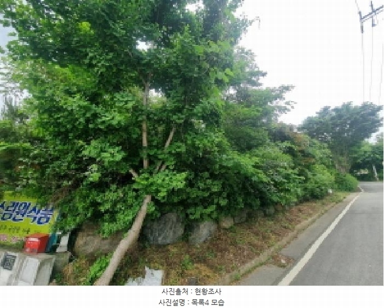 2025타경3506 세종특별자치시 장군면 금암리 302-22 대지 경매 이미지