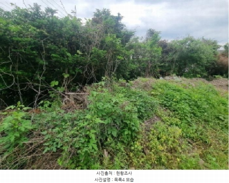 2025타경3506 세종특별자치시 장군면 금암리 302-22 대지 경매 이미지