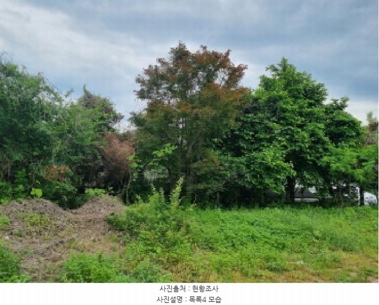 2025타경3506 세종특별자치시 장군면 금암리 302-22 대지 경매 이미지